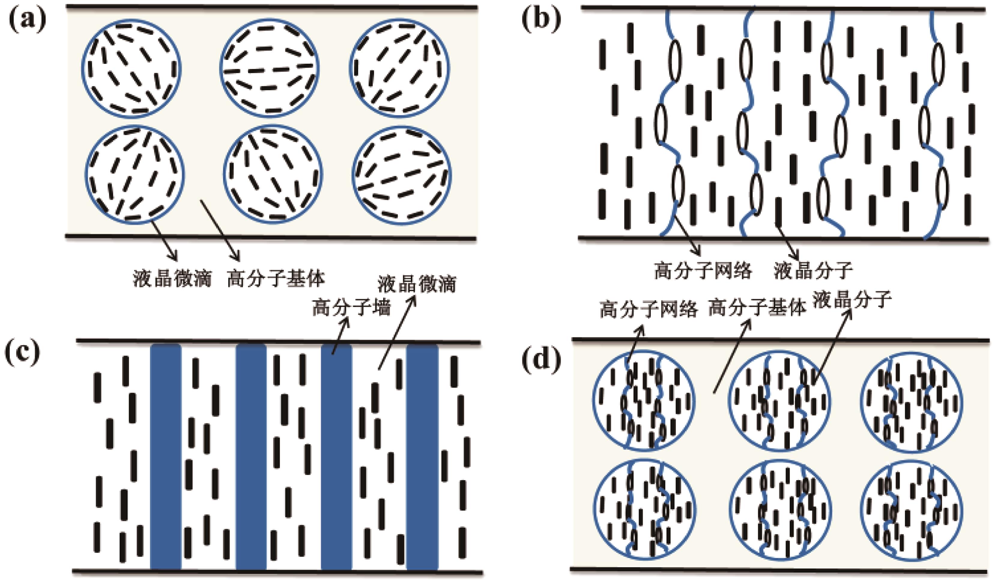 recent-advances-in-liquid-crystal-polymer-composites-and-their